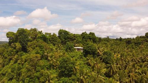 Jungle Villa with Sea Views and Private Pool
