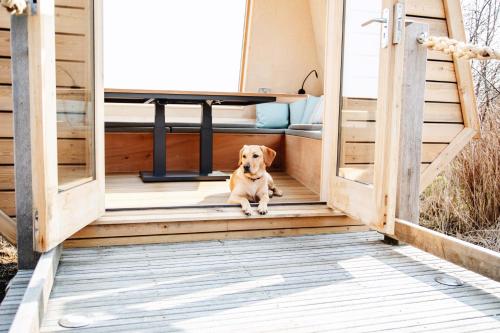 Isle of Mull Hotel & Spa