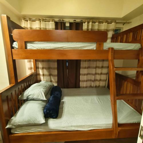 Affordable 1BR Condo near Town with WIFI - 102