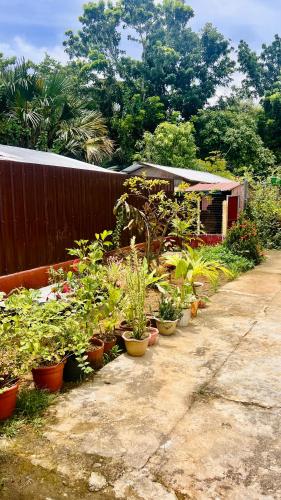 Chateau La Princesa Family Room with kitchen & cozy terrace