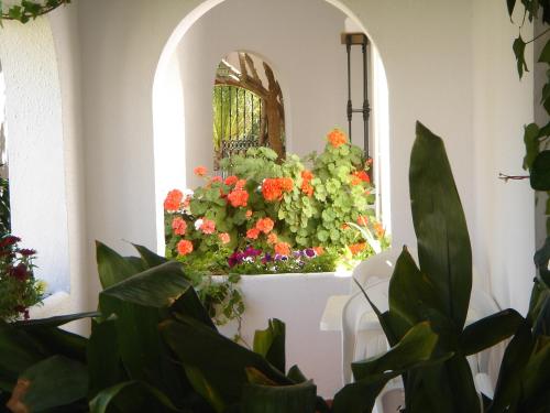 El Capi Hostal Restaurante