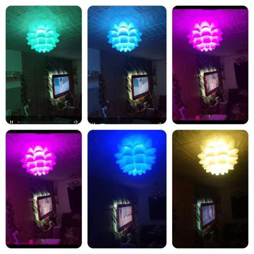 Ciel's Haven free Dinner Silog Meals