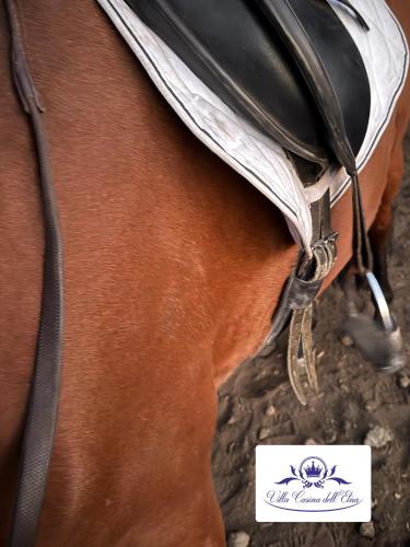 Villa Casina Dell'Etna