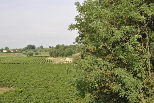 Tenuta San Leone
