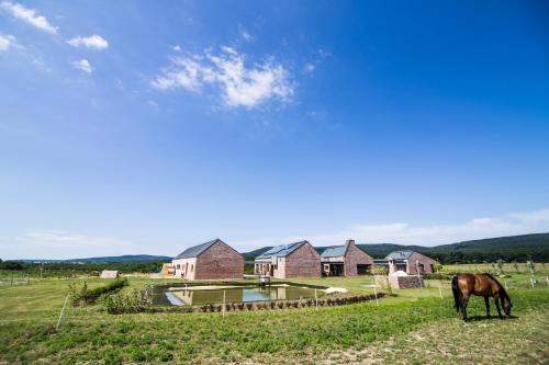 Oregtolgy Guest House
