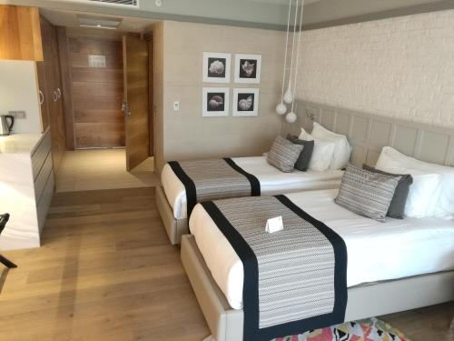 Acanthus Cennet Barut Collection