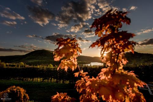 Chaty Na Cholewicy Domki Caloroczne