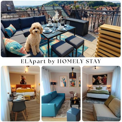 ELApart by Homely Stay - Moderne Apartments direkt im Stadtzentrum mit Self-Check-in