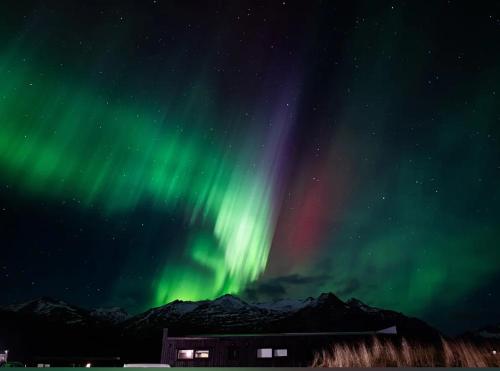 REY Stays - Small & Cozy Studio