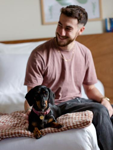 Alfred Hotels Compiegne