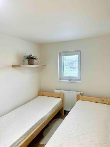 Ubytování Pod Stolovou