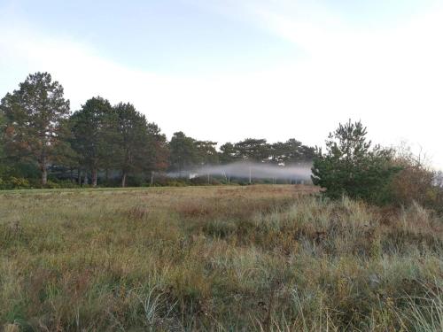 10 person holiday home in Væggerløse-By Traum