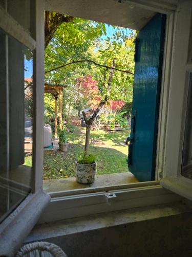 Le Clos du Moulin Dijon , charme et calme proche centre historique, la campagne à la ville