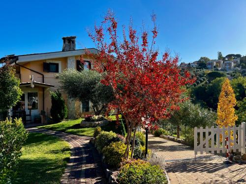 Peperosa In Collina Luxury B&b