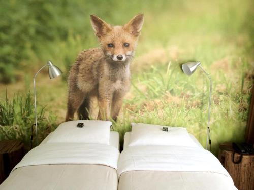 Hajé de Waterlodge & Hotel Ark de Aalscholver