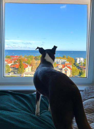 Pokoje przy plaży z widokiem na morze