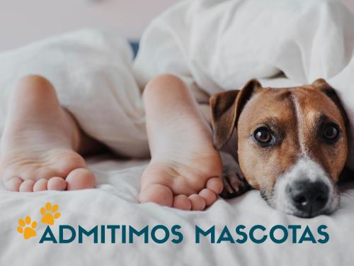 Complejo Búbal Formigal 3000