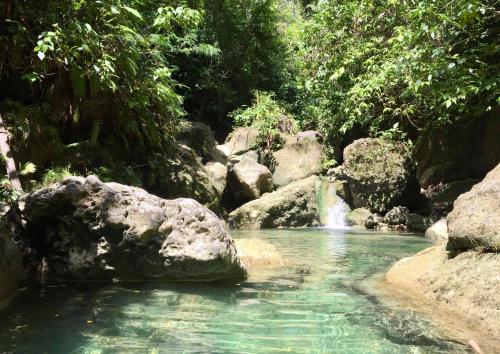 Treehouse De Valentine