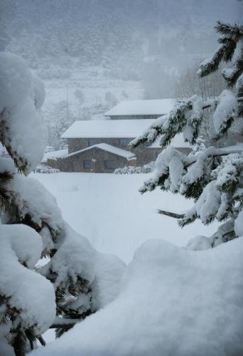 Les Pardines 1819 Mountain Suites & SPA