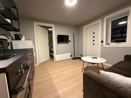 Sandefjord 1 bedroom kitchen and bathroom - Non smoking