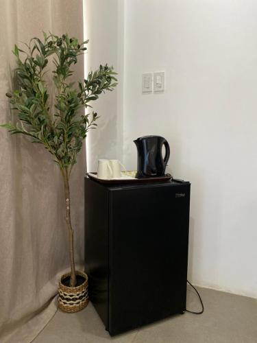 Villa Talisay Streetside Studio