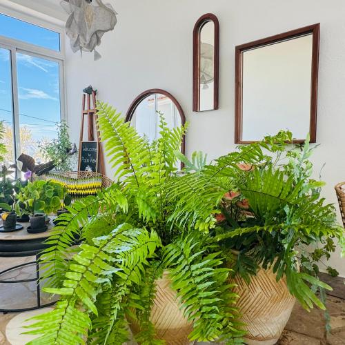 Palm View Guesthouse