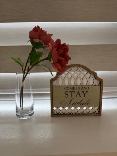 Telly's Studio Across NAIA3