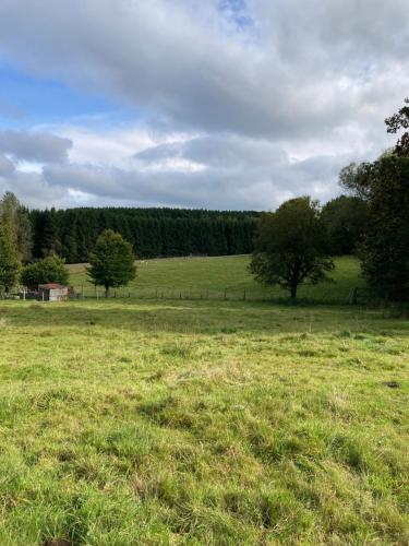 Haus Jola Bed And Breakfast