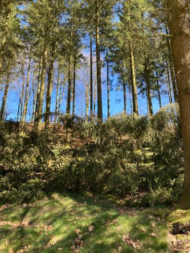 Haus Jola Bed And Breakfast