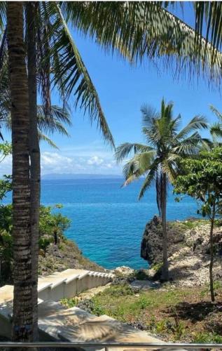 Peaceful turtle camp