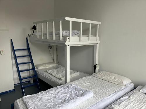 Instant Sleep Backpacker Hostel