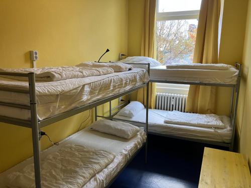 Instant Sleep Backpacker Hostel