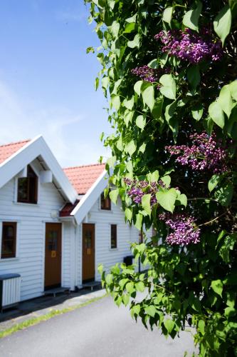 Vangsgaarden Gjestgiveri & Rorbuer