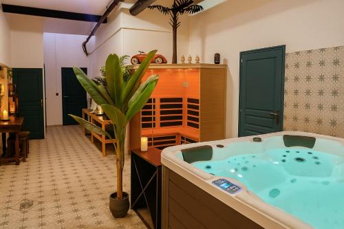 Les 2 Droles D'oiseaux