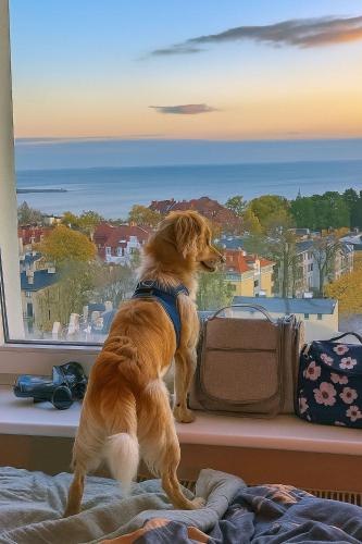 Pokoje przy plaży z widokiem na morze