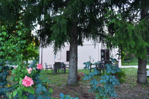 B&B Vetralla
