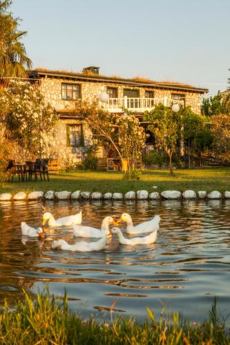 Otantik Tas Ev Boutique Hotel