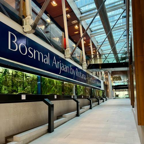 Bosmal Arjaan by Rotana