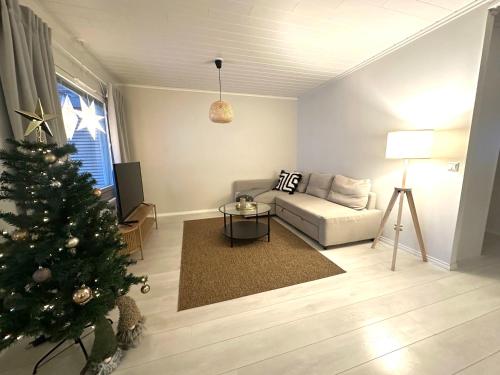 Arctic Circle Holiday Homes