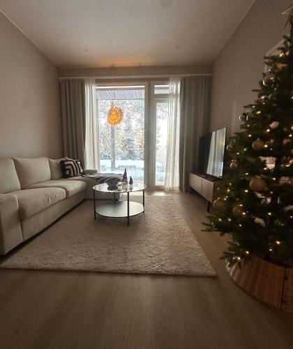 Arctic Circle Holiday homes II