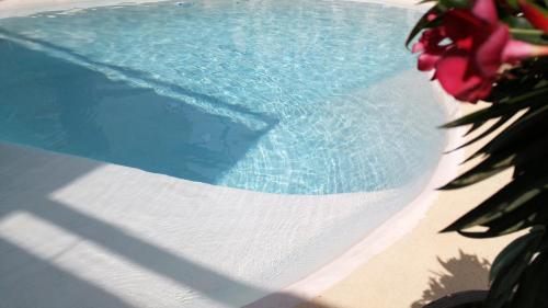 Basic Mansion Mandalina