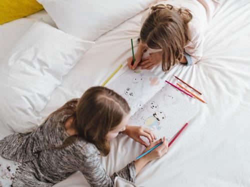 Ibis Annecy Centre Vieille Ville