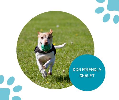 Sandhaven Beach Chalets