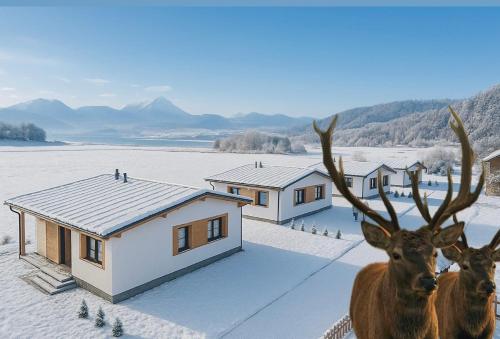 Rezort Zvernica Vlachy - Family & Fun