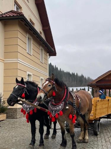 Apartamenty Agroturystyczne Papiernia