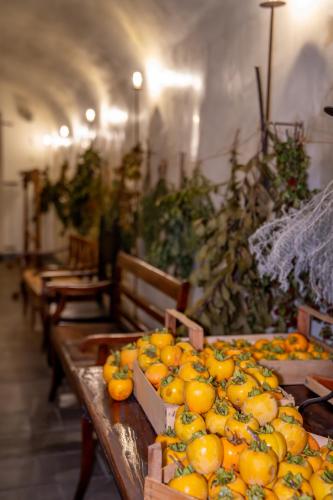 Cappuccini In Franciacorta