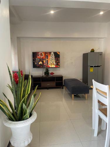 The Penthouse Suite