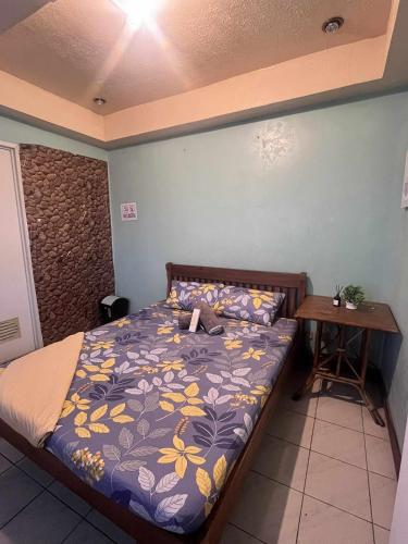 Ace Travellers Inn- Palawan