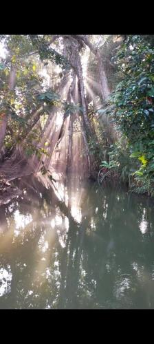 Bambua Nature Cottages