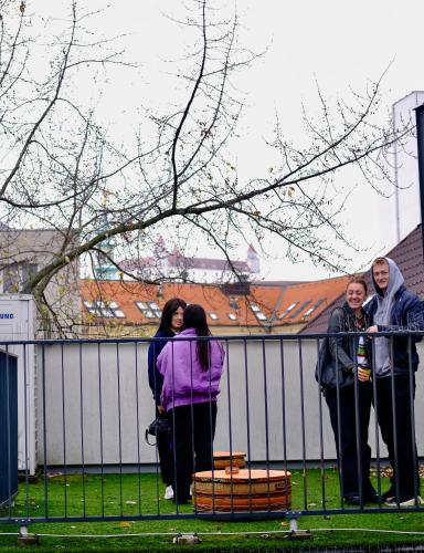 Wild Elephants Hostel